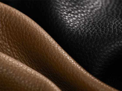 The Establishment of company